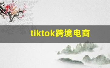 tiktok跨境电商_跨境电商需要什么条件
