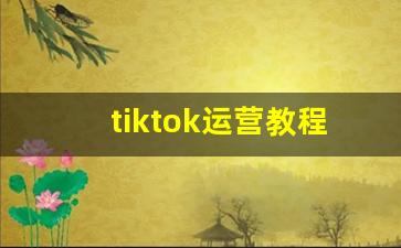 tiktok运营教程