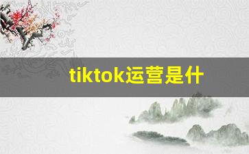 tiktok运营是什么
