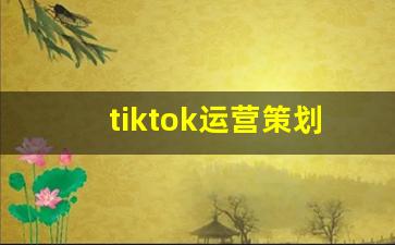 tiktok运营策划案