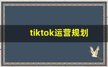 tiktok运营规划