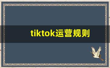 tiktok运营规则_tiktok各类目平台扣点
