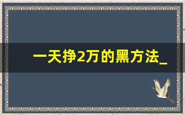一天挣2万的黑方法_搞钱最快的路子