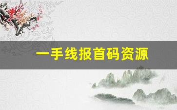一手线报首码资源