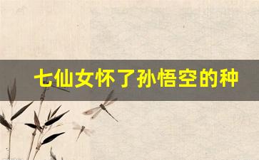 七仙女怀了孙悟空的种_贾宝玉大战王熙凤第六回