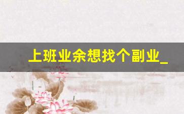 上班业余想找个副业_适合新手的副业