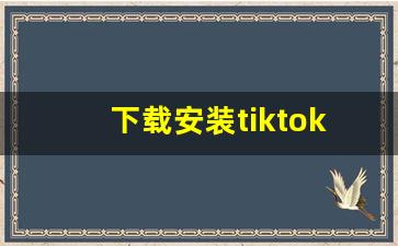 下载安装tiktok的步骤