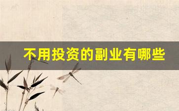 不用投资的副业有哪些