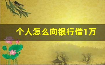个人怎么向银行借1万元_急需三万块的最佳办法