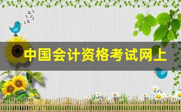 中国会计资格考试网上报名