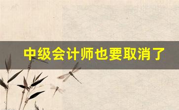 中级会计师也要取消了_未来最紧缺的十大证书