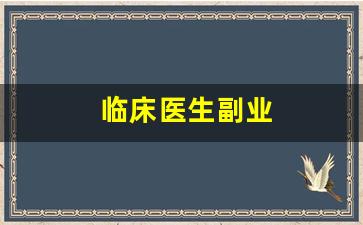 临床医生副业