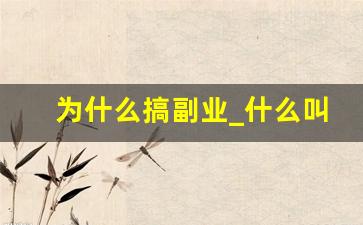 为什么搞副业_什么叫搞副业
