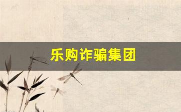 乐购诈骗集团