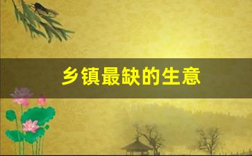 乡镇最缺的生意