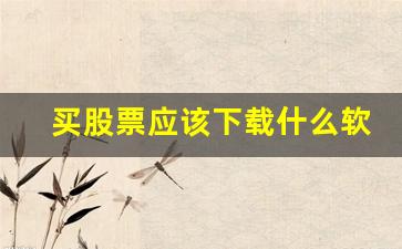 买股票应该下载什么软件最好_怎么炒股用什么软件