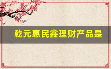 乾元惠民鑫理财产品是银行内部的吗_乾元安鑫收益率怎么查
