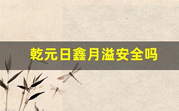 乾元日鑫月溢安全吗