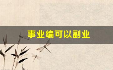 事业编可以副业