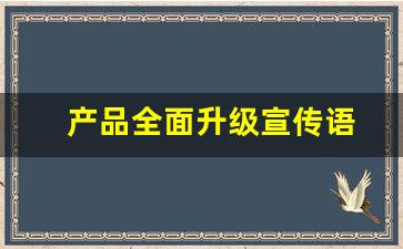 产品全面升级宣传语