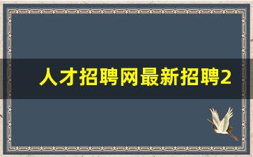 人才招聘网最新招聘2023_供电局招聘2023社招