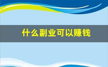 什么副业可以赚钱
