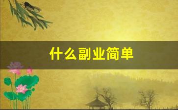 什么副业简单