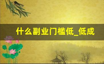 什么副业门槛低_低成本副业