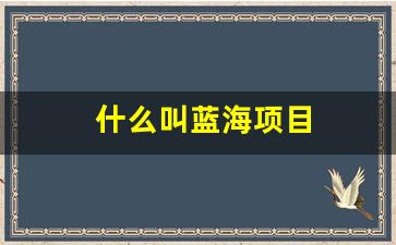 什么叫蓝海项目