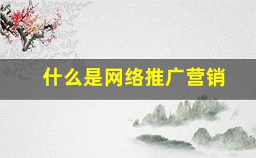 什么是网络推广营销