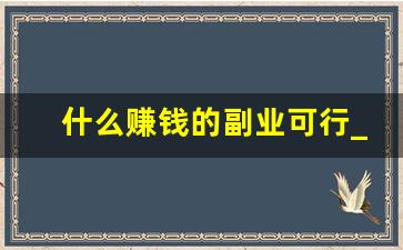 什么赚钱的副业可行_赚钱快的路子
