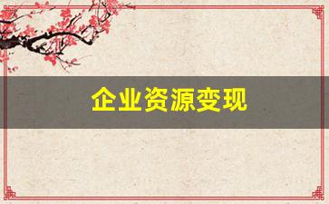 企业资源变现