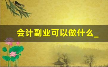 会计副业可以做什么_网上怎么做副业