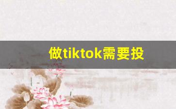 做tiktok需要投资多少钱_tiktok怎么在国内看