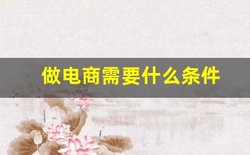 做电商需要什么条件