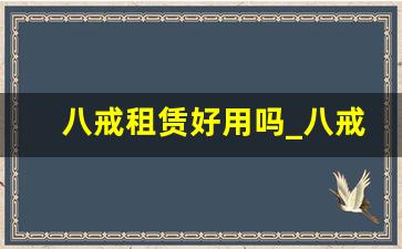 八戒租赁好用吗_八戒的好处