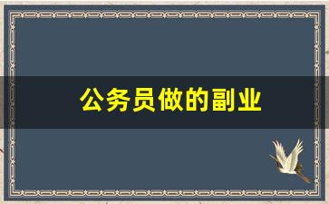 公务员做的副业