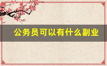 公务员可以有什么副业