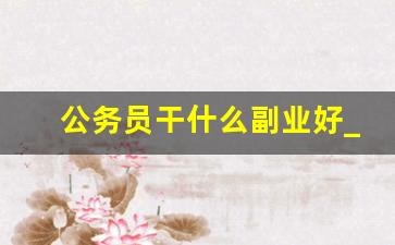 公务员干什么副业好_公务员的记大过处分