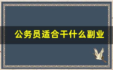公务员适合干什么副业_老婆考上公务员后变了个人