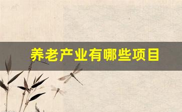 养老产业有哪些项目