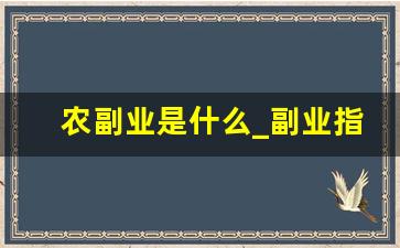 农副业是什么_副业指的是哪些