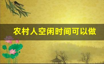 农村人空闲时间可以做哪些副业_能利用空余时间赚钱的副业