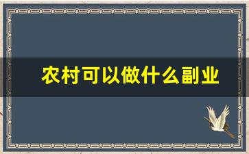 农村可以做什么副业