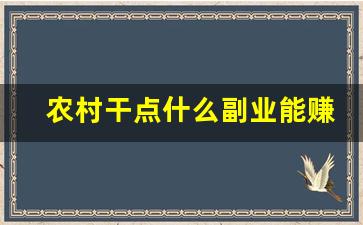 农村干点什么副业能赚钱呢
