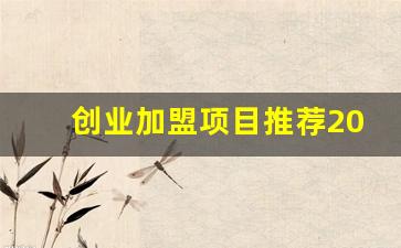 创业加盟项目推荐2023_2023小投资项目创业推荐