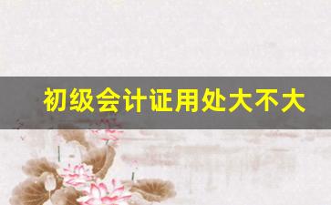 初级会计证用处大不大_单纯考个会计证有用吗