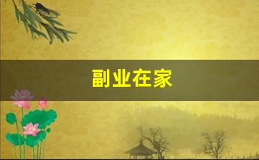 副业在家