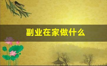 副业在家做什么