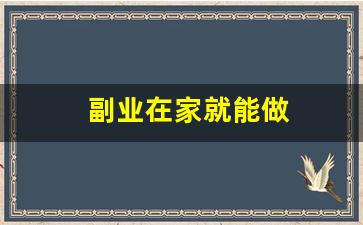 副业在家就能做